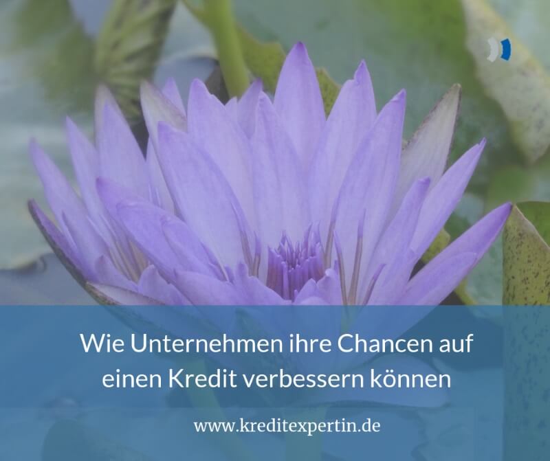 Wie Unternehmen ihre Chancen auf einen Kredit verbessern können